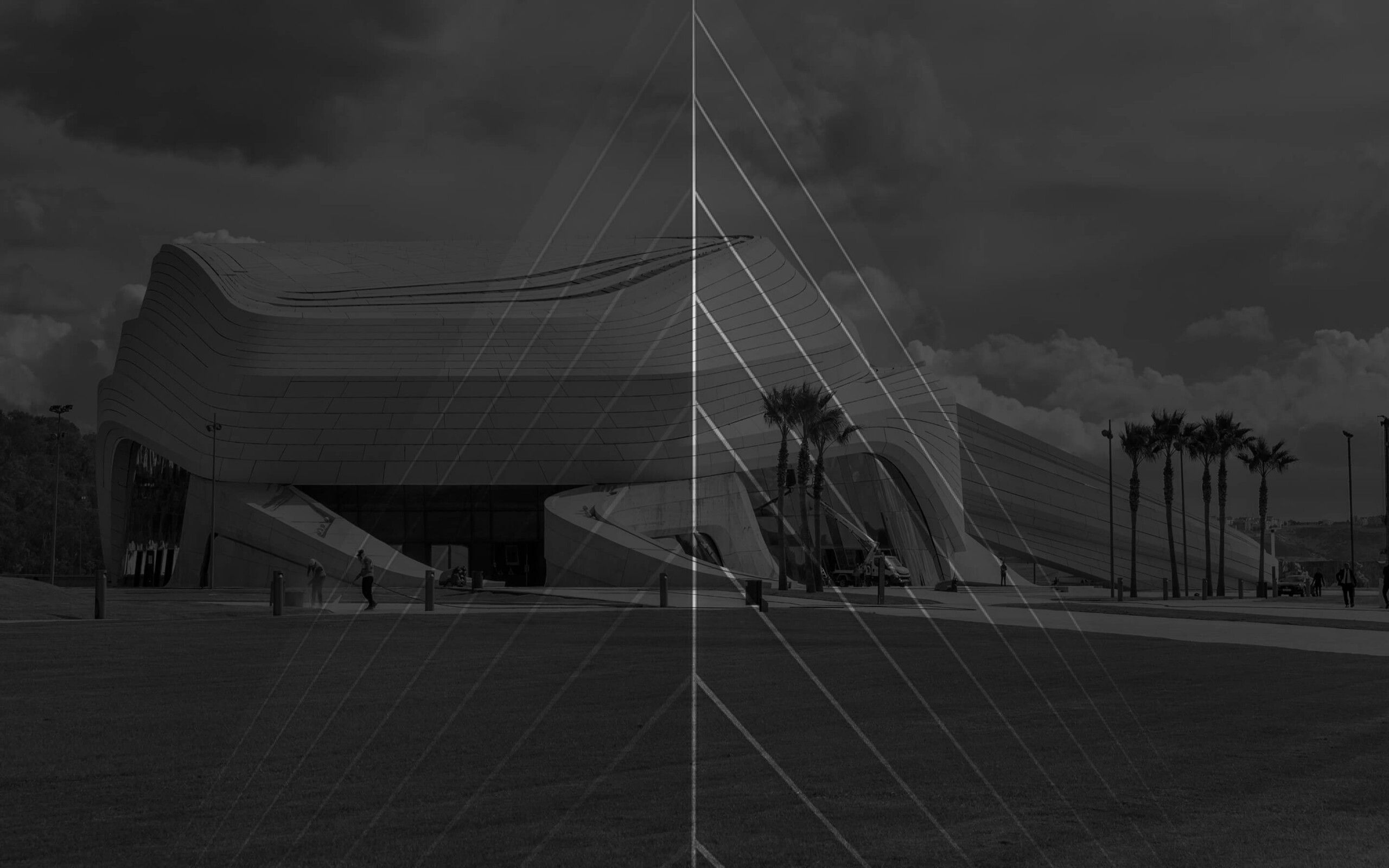 Plus de 50 ans d’expérience au service  de nos clients et partenaires