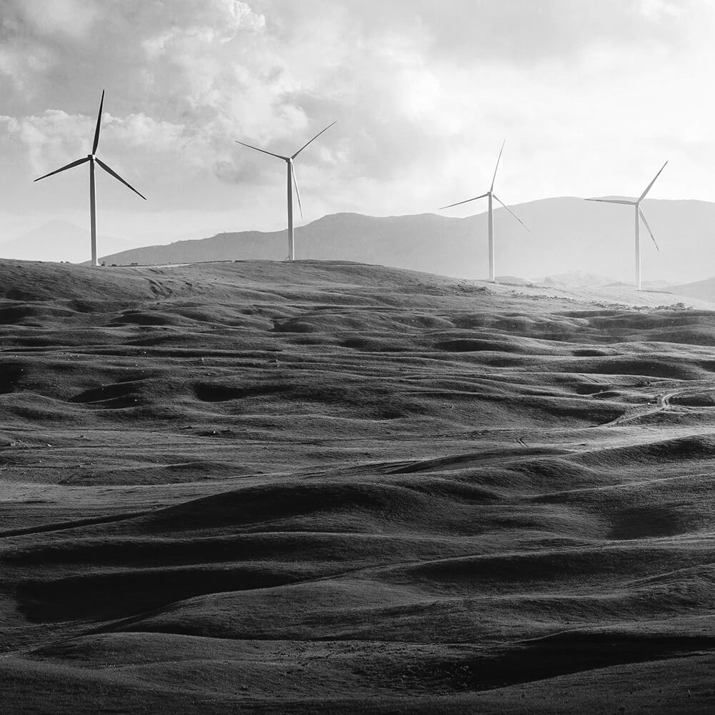 Environmental Respect